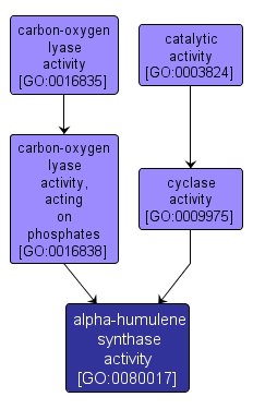 GO:0080017 - alpha-humulene synthase activity (interactive image map)