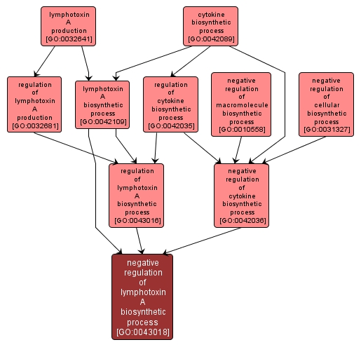 GO:0043018 - negative regulation of lymphotoxin A biosynthetic process (interactive image map)