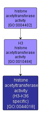 GO:0044018 - histone acetyltransferase activity (H3-K36 specific) (interactive image map)