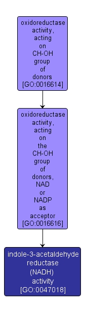 GO:0047018 - indole-3-acetaldehyde reductase (NADH) activity (interactive image map)