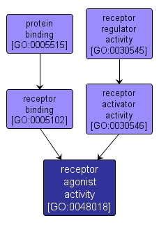GO:0048018 - receptor agonist activity (interactive image map)