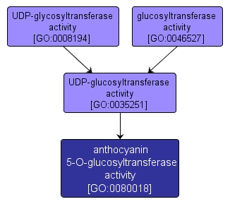 GO:0080018 - anthocyanin 5-O-glucosyltransferase activity (interactive image map)