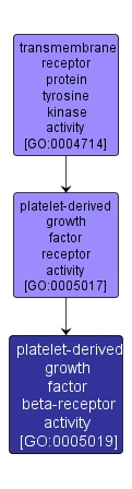 GO:0005019 - platelet-derived growth factor beta-receptor activity (interactive image map)