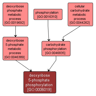 GO:0006019 - deoxyribose 5-phosphate phosphorylation (interactive image map)