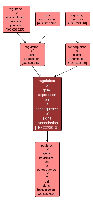 GO:0023019 - regulation of gene expression as a consequence of signal transmission (interactive image map)