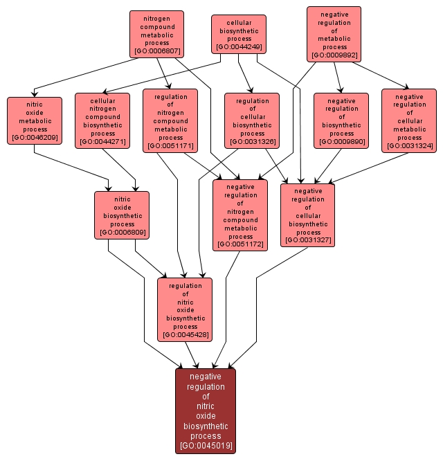 GO:0045019 - negative regulation of nitric oxide biosynthetic process (interactive image map)