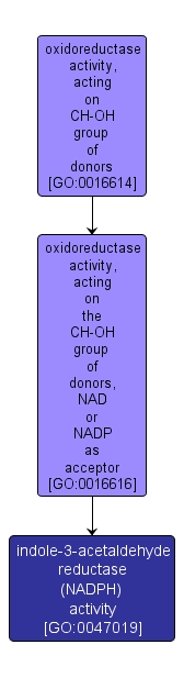 GO:0047019 - indole-3-acetaldehyde reductase (NADPH) activity (interactive image map)