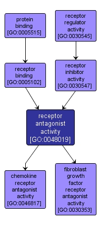 GO:0048019 - receptor antagonist activity (interactive image map)