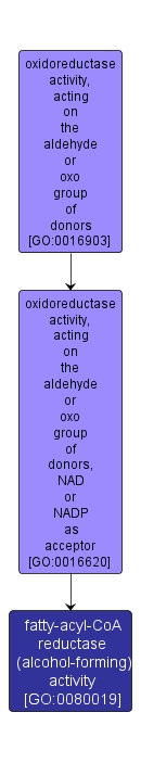 GO:0080019 - fatty-acyl-CoA reductase (alcohol-forming) activity (interactive image map)