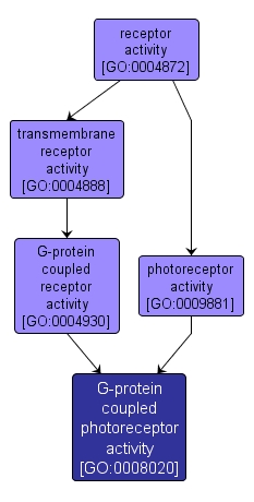 GO:0008020 - G-protein coupled photoreceptor activity (interactive image map)