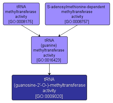 GO:0009020 - tRNA (guanosine-2'-O-)-methyltransferase activity (interactive image map)
