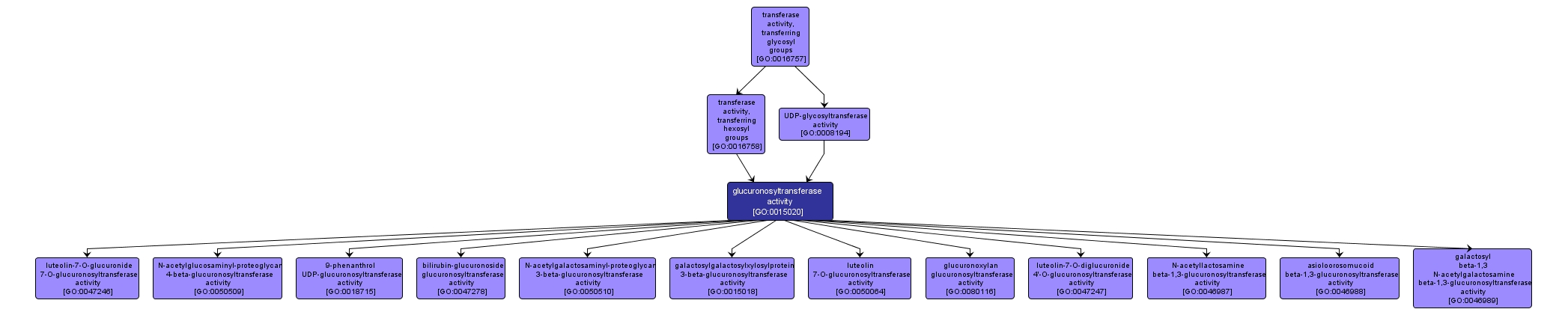 GO:0015020 - glucuronosyltransferase activity (interactive image map)