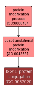 GO:0032020 - ISG15-protein conjugation (interactive image map)
