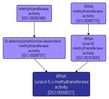 GO:0009021 - tRNA (uracil-5-)-methyltransferase activity (interactive image map)