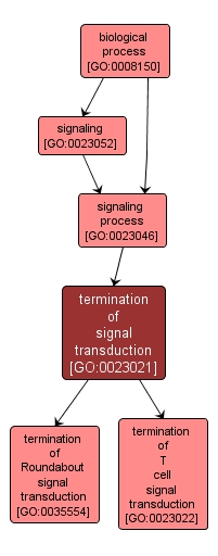 GO:0023021 - termination of signal transduction (interactive image map)