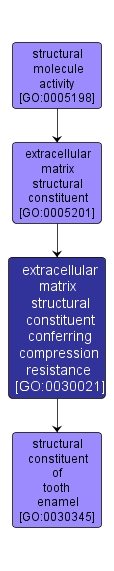 GO:0030021 - extracellular matrix structural constituent conferring compression resistance (interactive image map)