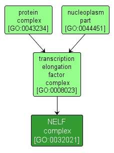 GO:0032021 - NELF complex (interactive image map)