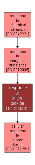 GO:0034021 - response to silicon dioxide (interactive image map)