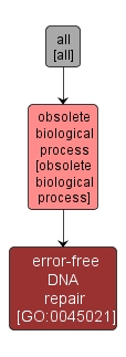 GO:0045021 - error-free DNA repair (interactive image map)