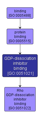 GO:0051021 - GDP-dissociation inhibitor binding (interactive image map)