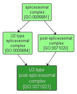 GO:0071021 - U2-type post-spliceosomal complex (interactive image map)