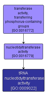 GO:0009022 - tRNA nucleotidyltransferase activity (interactive image map)