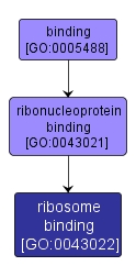 GO:0043022 - ribosome binding (interactive image map)