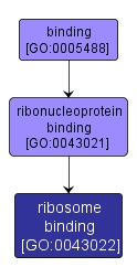 GO:0043022 - ribosome binding (interactive image map)