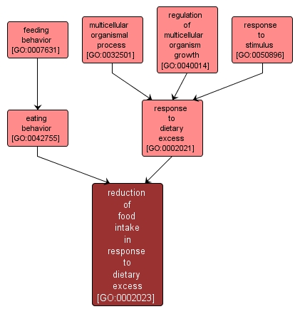 GO:0002023 - reduction of food intake in response to dietary excess (interactive image map)