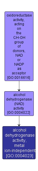 GO:0004023 - alcohol dehydrogenase activity, metal ion-independent (interactive image map)
