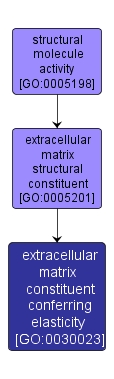 GO:0030023 - extracellular matrix constituent conferring elasticity (interactive image map)