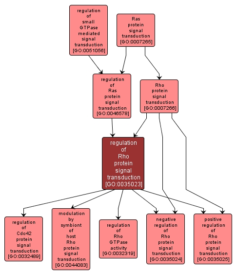 GO:0035023 - regulation of Rho protein signal transduction (interactive image map)