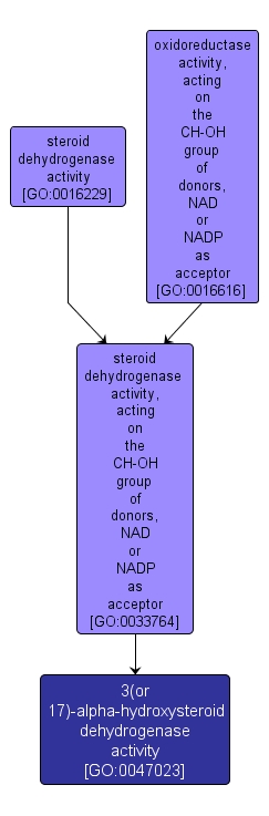 GO:0047023 - 3(or 17)-alpha-hydroxysteroid dehydrogenase activity (interactive image map)