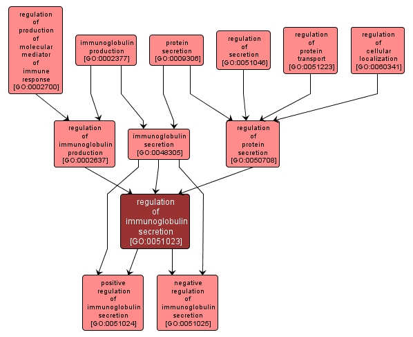 GO:0051023 - regulation of immunoglobulin secretion (interactive image map)