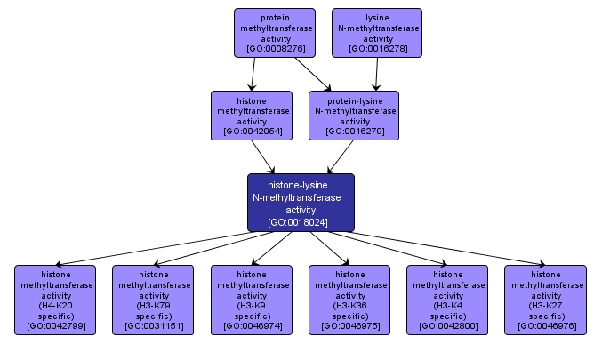 GO:0018024 - histone-lysine N-methyltransferase activity (interactive image map)