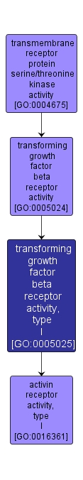 GO:0005025 - transforming growth factor beta receptor activity, type I (interactive image map)