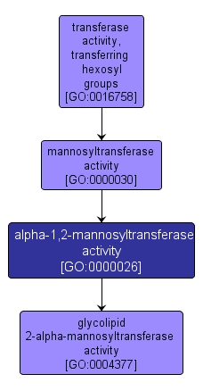 GO:0000026 - alpha-1,2-mannosyltransferase activity (interactive image map)