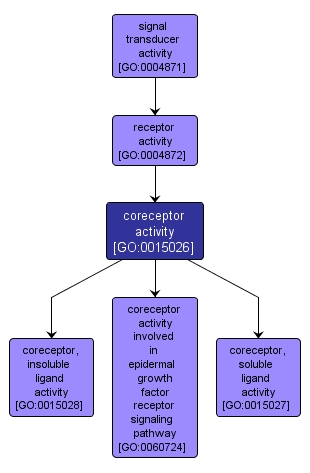 GO:0015026 - coreceptor activity (interactive image map)