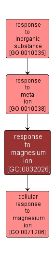 GO:0032026 - response to magnesium ion (interactive image map)