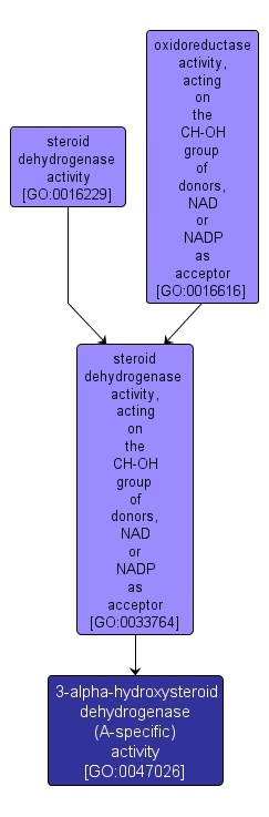 GO:0047026 - 3-alpha-hydroxysteroid dehydrogenase (A-specific) activity (interactive image map)