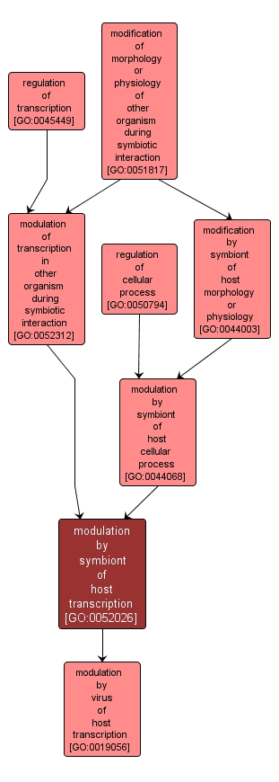 GO:0052026 - modulation by symbiont of host transcription (interactive image map)