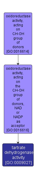GO:0009027 - tartrate dehydrogenase activity (interactive image map)