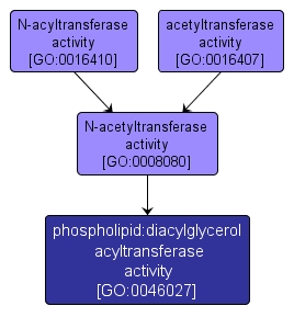 GO:0046027 - phospholipid:diacylglycerol acyltransferase activity (interactive image map)