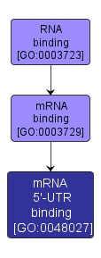 GO:0048027 - mRNA 5'-UTR binding (interactive image map)