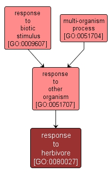 GO:0080027 - response to herbivore (interactive image map)
