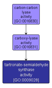 GO:0009028 - tartronate-semialdehyde synthase activity (interactive image map)