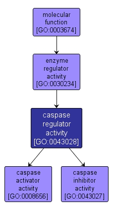 GO:0043028 - caspase regulator activity (interactive image map)