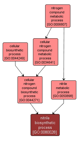 GO:0080028 - nitrile biosynthetic process (interactive image map)