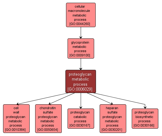 GO:0006029 - proteoglycan metabolic process (interactive image map)