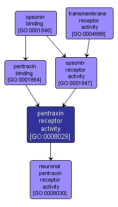 GO:0008029 - pentraxin receptor activity (interactive image map)